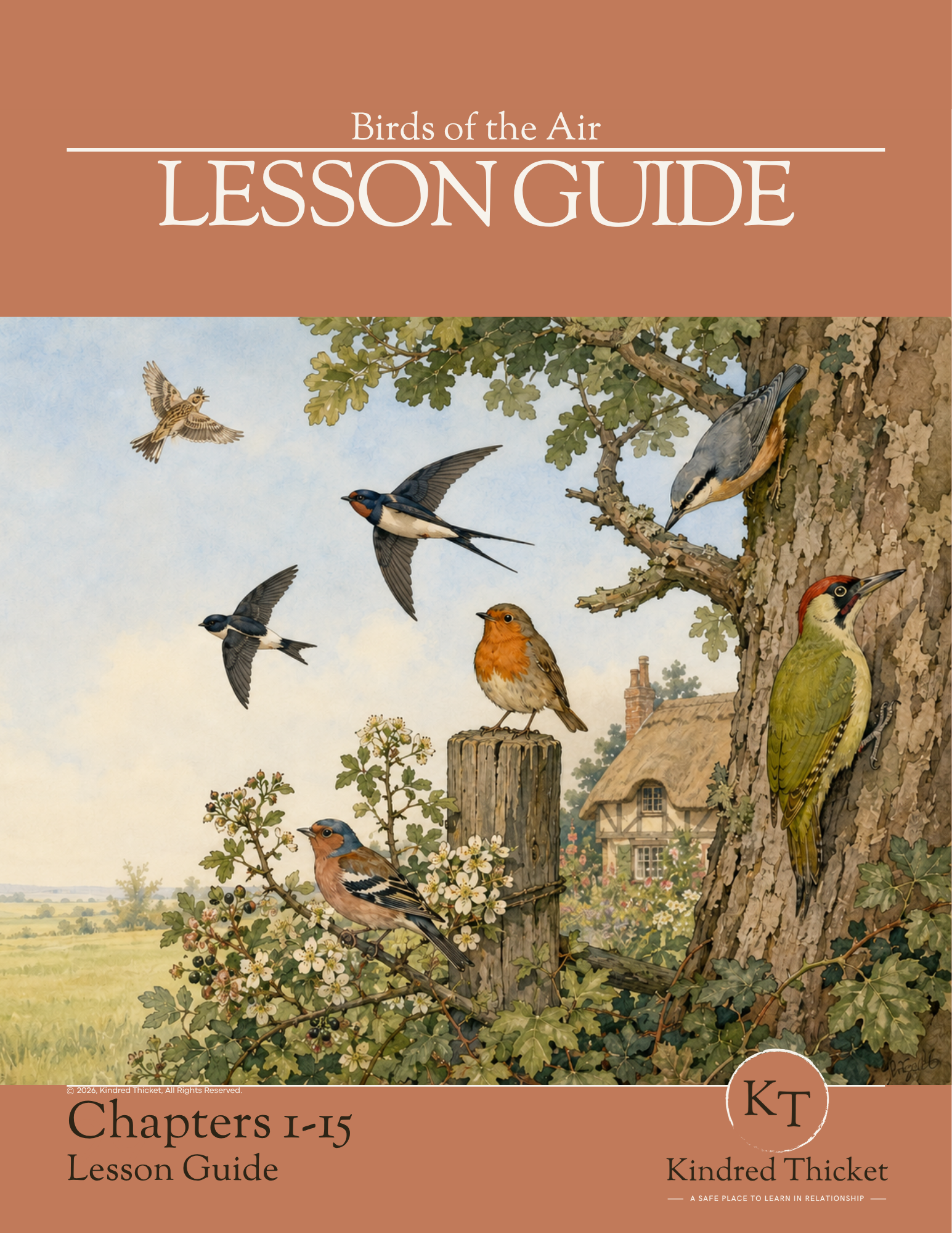 Birds of the Air Chapters 1-15 Lesson Guide cover