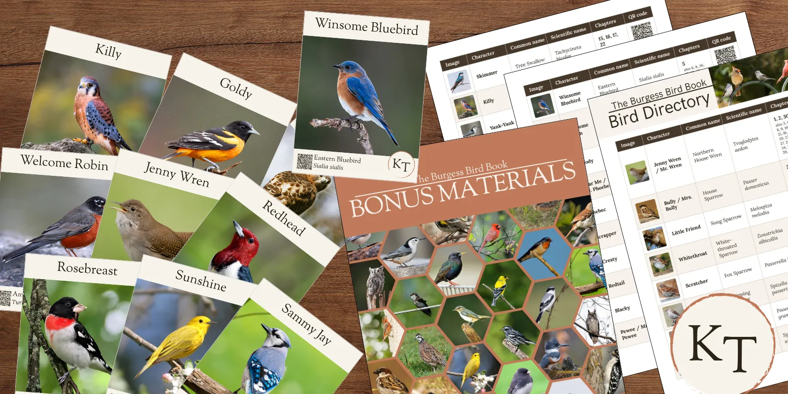 Burgess Bird Book bird ID cards, the Bonus Materials booklet, and the Bird Directory spread across a wooden table