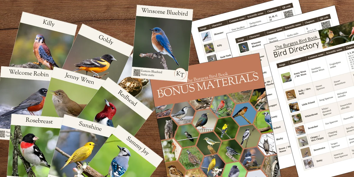 The Burgess Bird Book · Bird ID Cards