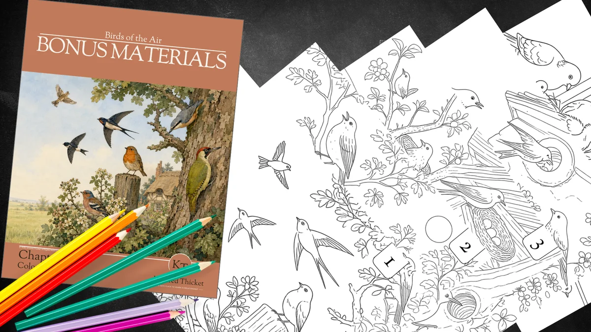Birds of the Air · Coloring Pages