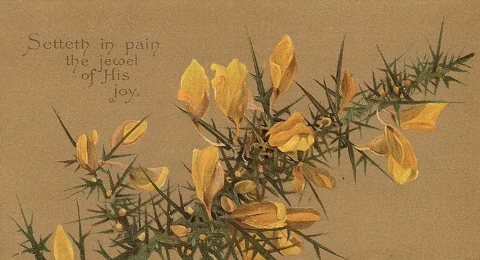 Setteth in Pain, Parables of the Cross (1890) by Lilias Trotter