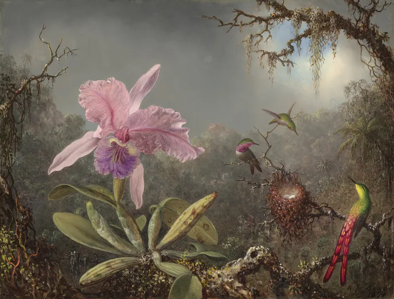 Cattleya Orchid and Three Hummingbirds (1871) by Martin Johnson Heade